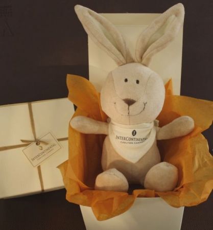 Peluche Lapin Personnalise 'Carlton'